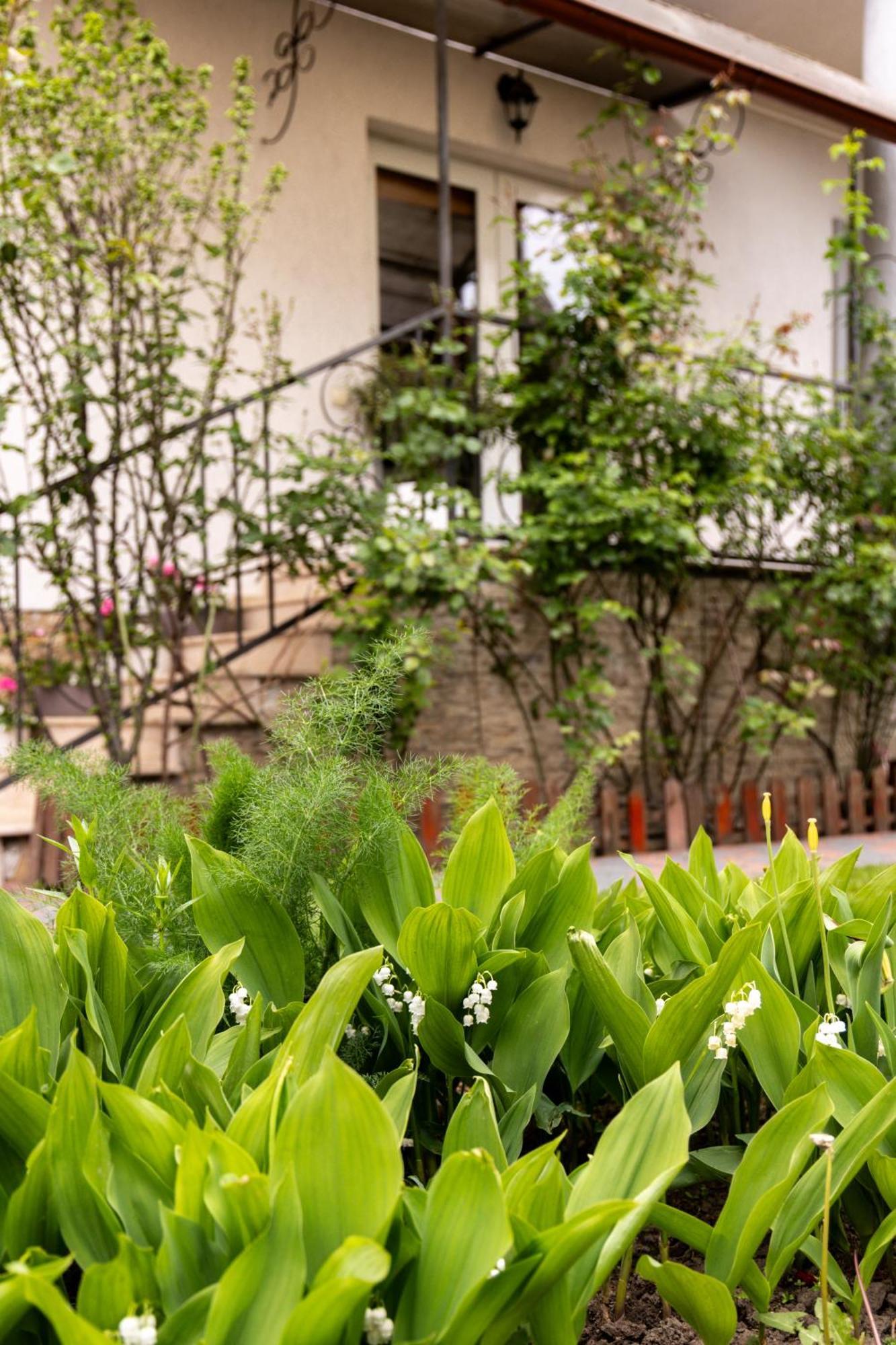Green Garden Avrig Extérieur photo